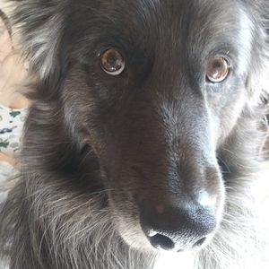 Meet your Posher, Kolton n